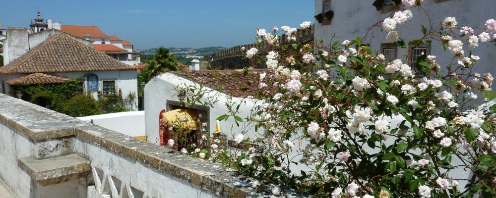 Carmona Apartamento São Martinho do Porto Exterior foto